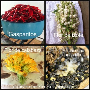 Mexican edible flowers and mushroom