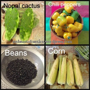 Native mexican ingredients