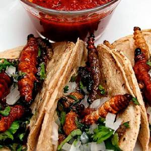 Worm Tacos | My Heart Of Mexico