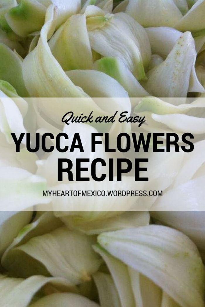 A Quick and Easy Way to Cook Yucca Flowers | My Heart of Mexico
